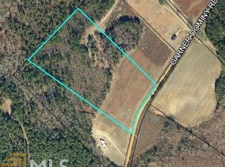 779 Garner Dominy Rd, Dublin, GA 31021