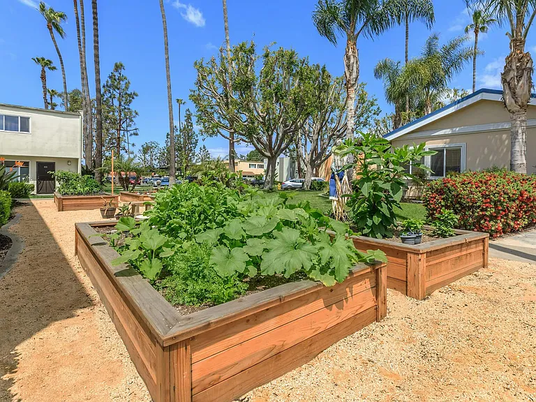 Villa Pacific Townhomes — Photo 16