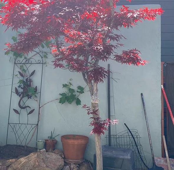205 Jacob Ln — Photo 5