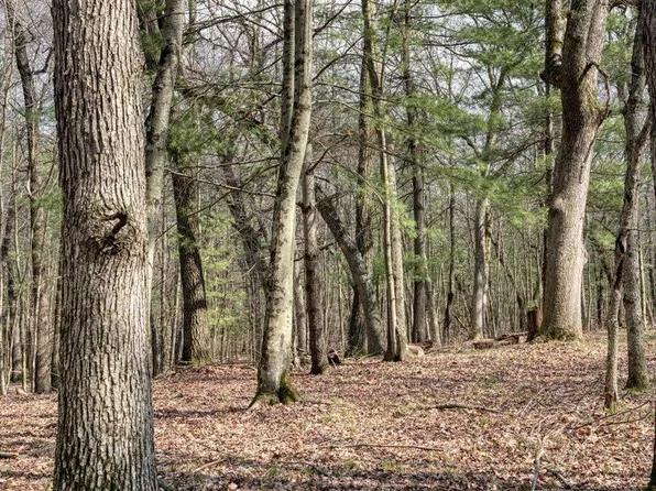 25.66 Acres 51st Street #1, Mauston, WI 53948