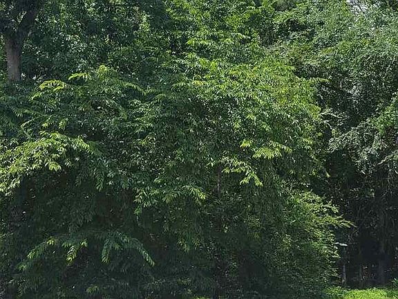 5th image of 2820 Green Lane Dr