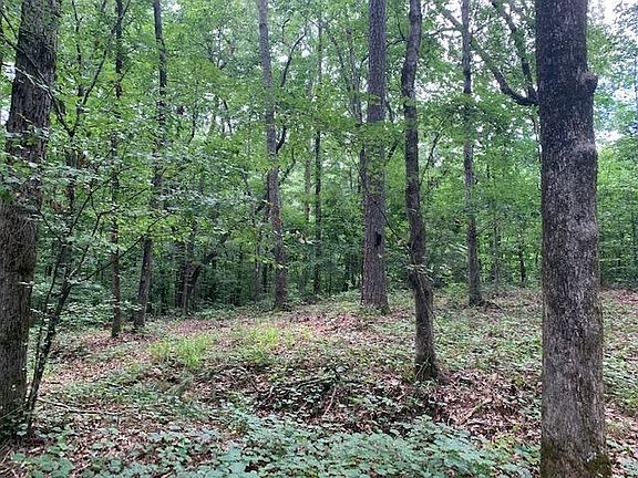 2nd image of 135 Oak Forest Dr