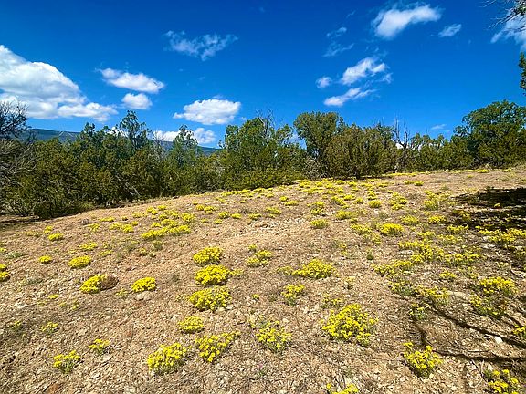 3rd image of 5 W Vista De Sandia