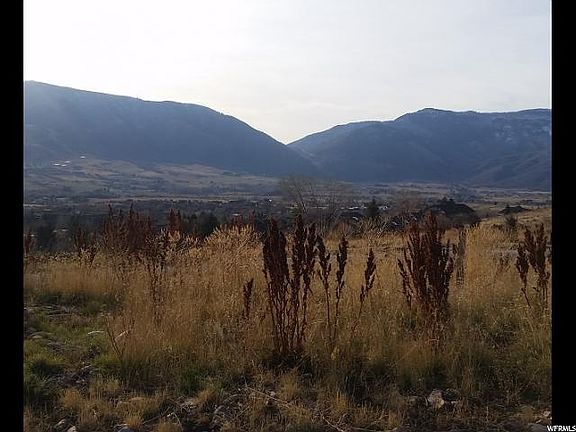 4th image of 5319 E Purple Sage Dr