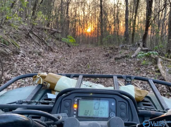 County Road 414, Flat Rock, AL 35966