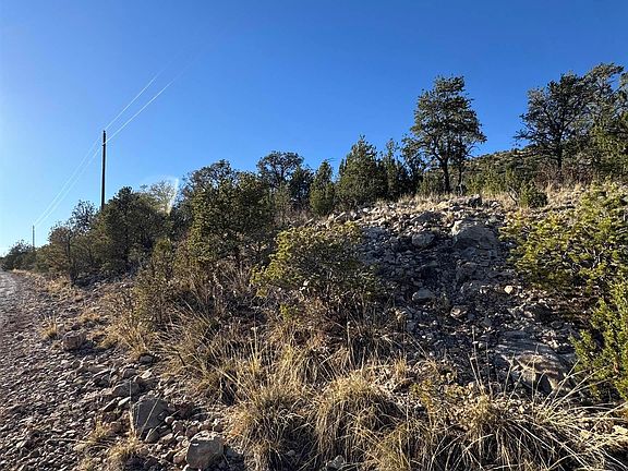 2nd image of 80 Longfellow Rd