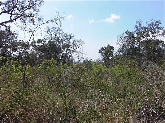 2nd image of Catamaran Ln Lot 18