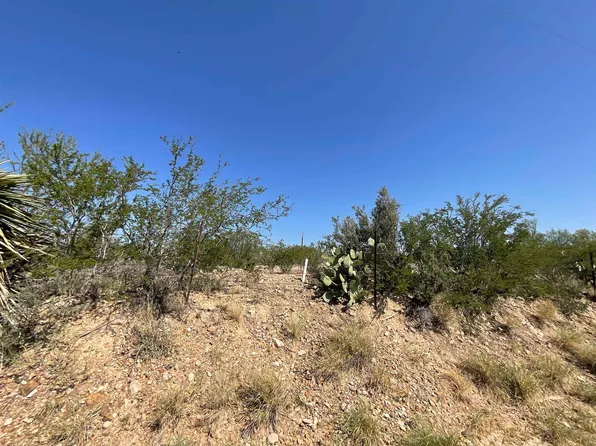 0 Chicote Rd, Laredo, TX 78045