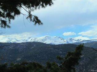 1111 Ohio Gulch Trl, Dumont, CO 80436