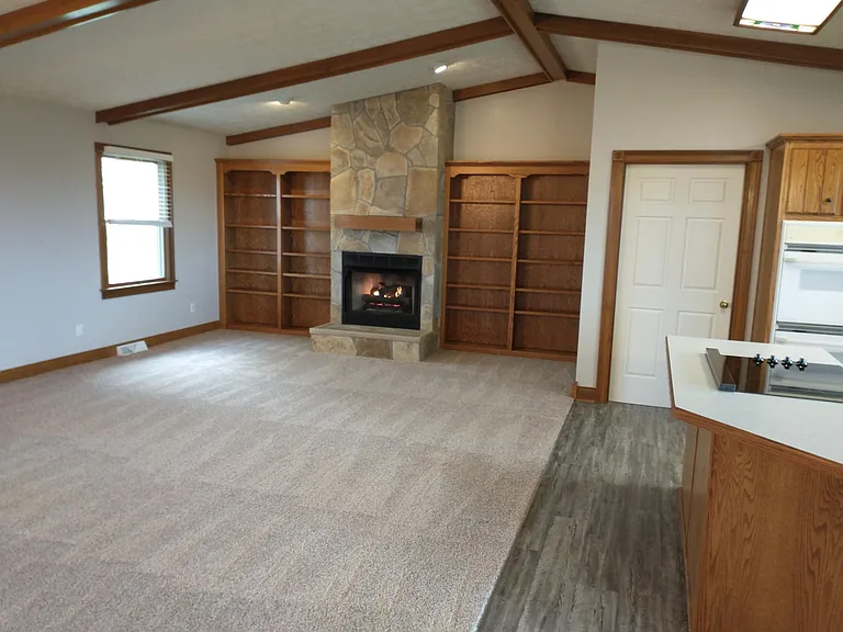 Living room bookcases & fireplace