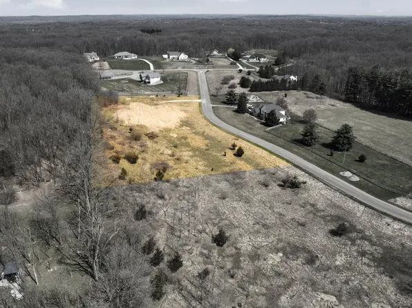 9090 Stoneview Ln, Whitmore Lake, MI 48189
