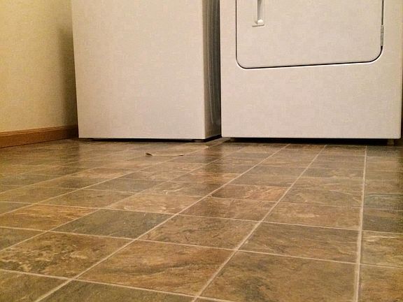 3rd image of 621 33rd Ave W APT 206