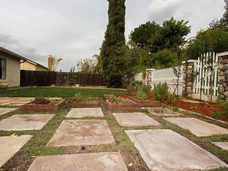 Back Yard