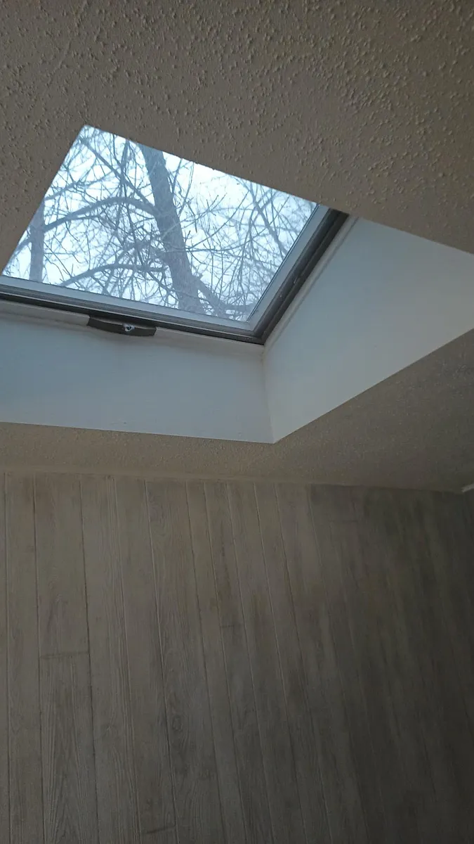 Skylight in living room - 103 E Saint Patrick St