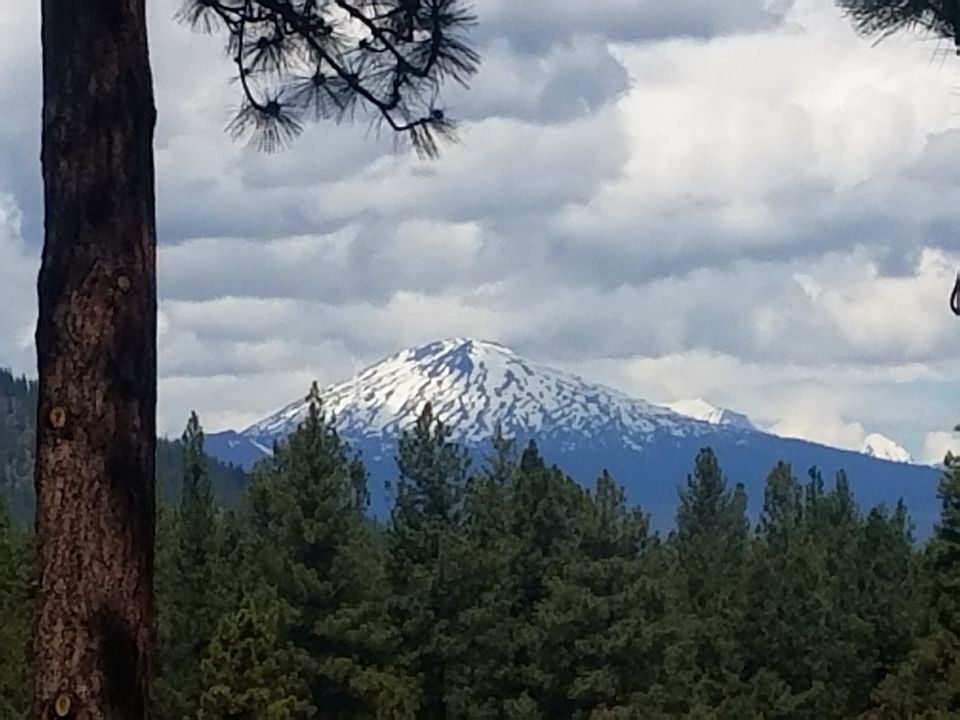1st image of 54326 Bear Dr