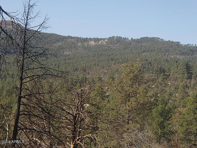 2nd image of 23027 S Gladiator Mine Rd