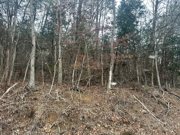 TRACT 2 N White Pine Rd, White Pine, TN 37890
