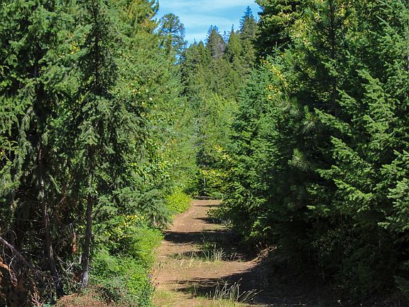 5th image of TRACT 2 Pardee Flat Rd