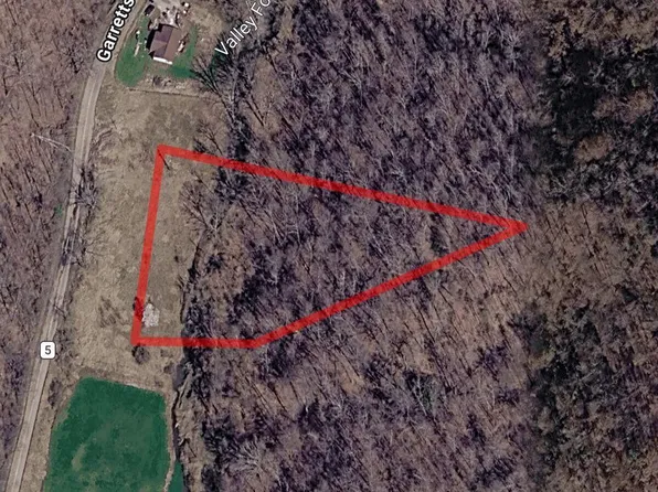 76 Garretts Bnd, Griffithsville, WV 25521