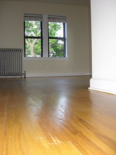Spacious Bright Front Room, tree privacy