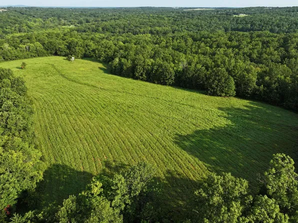 0 Tract Bch #4-306, Marble Hill, MO 63764