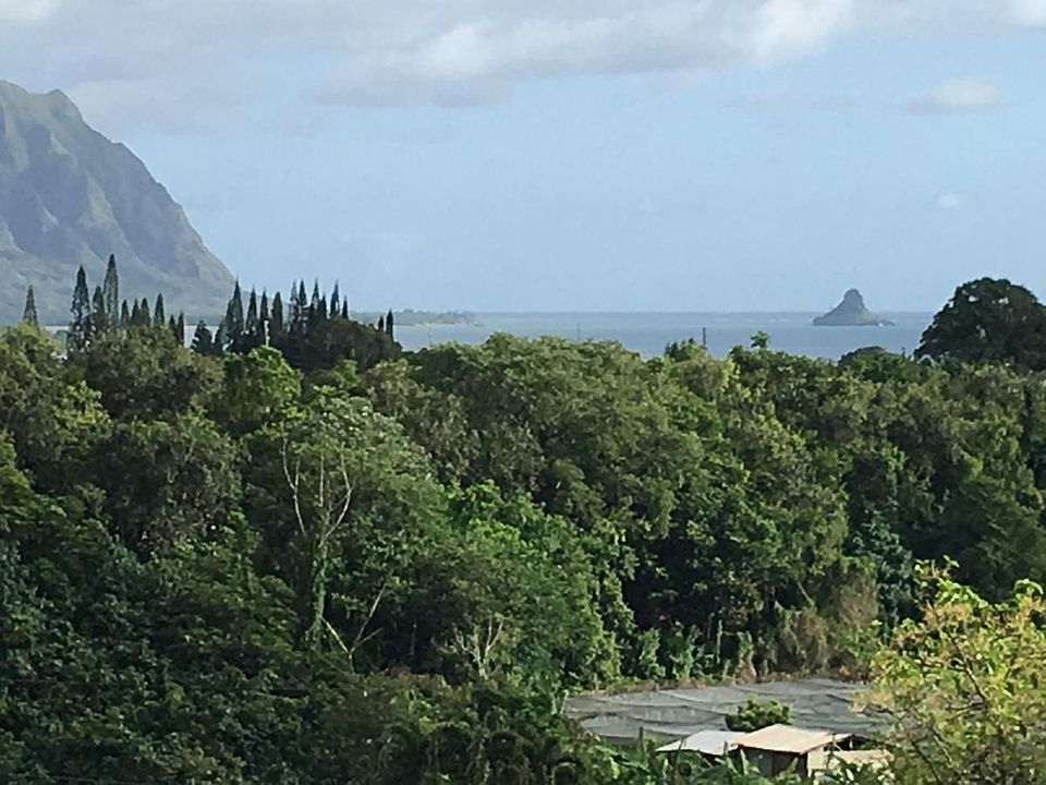 1st image of 47-497 Waipua Pl