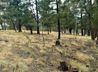 910 Will Scarlet Dr, Divide, CO 80814