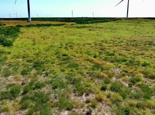 TRACT 6 80ac San Pablo Ave, Bruni, TX 78344