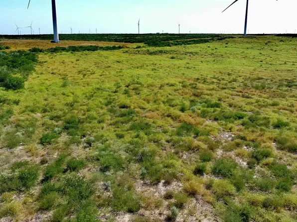 TRACT 6 80ac San Pablo Ave, Bruni, TX 78344