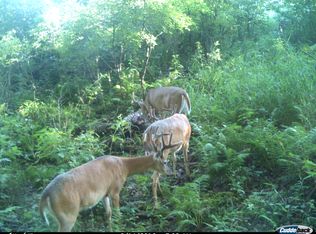 Czech Rd, Neshkoro, WI 54960