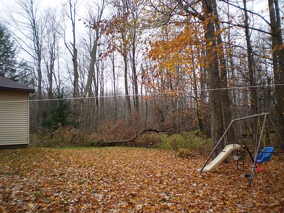 Side yard/play area