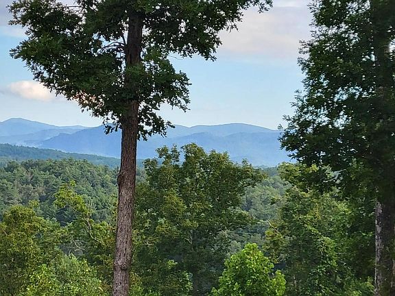 3rd image of 900 Carolina Fox Cir