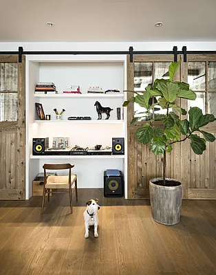 Sold by Compass | media 43