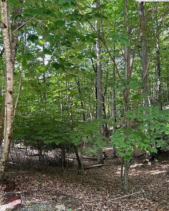 1st image of 102 Ivy Lane