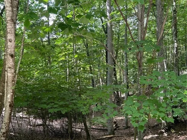 102 Ivy Lane, Beech Mountain, NC 28604