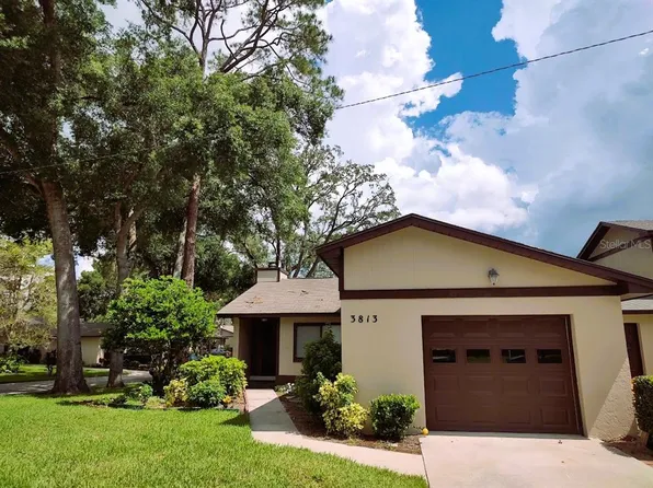 3813 NE 19th Street Cir, Ocala, FL 34470