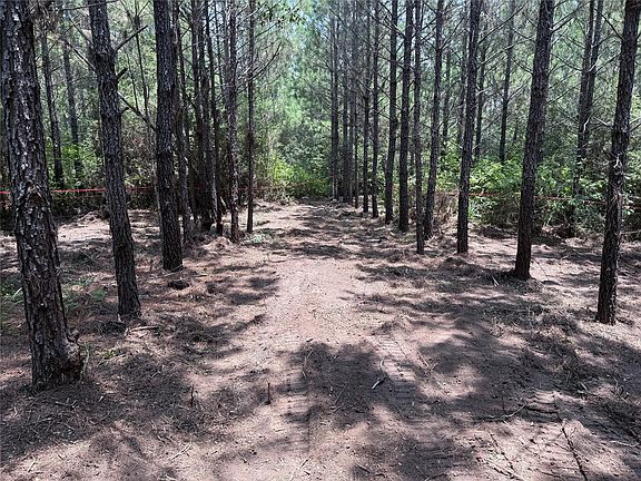 5th image of 15785 Woodlife Rd