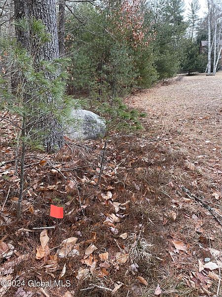 4th image of L6 Mountain Meadows Road