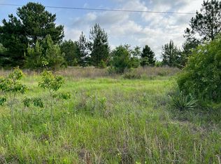 1445 Jimmy Wells Rd, Ellaville, GA 31806