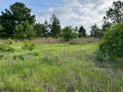 1445 Jimmy Wells Rd, Ellaville, GA, 31806