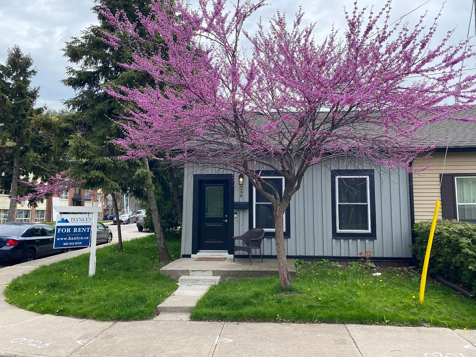 1 bed, 750 sqft, $1,995 — Photo 1