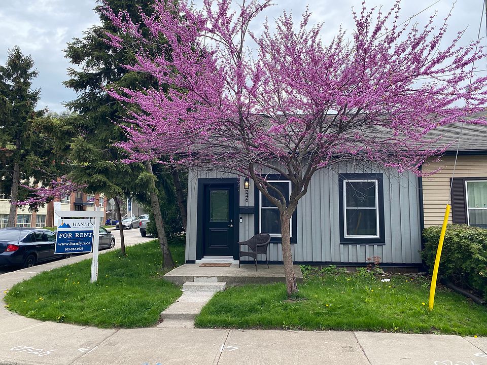 1st image of 246 Forest Ave