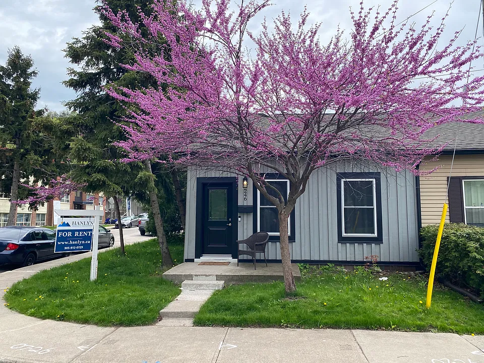 246 Forest Ave