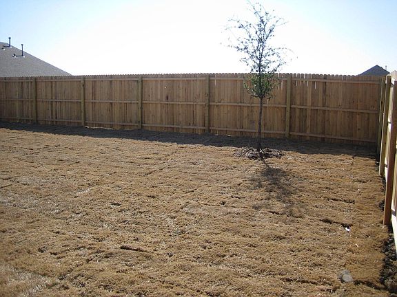 Large Backyard