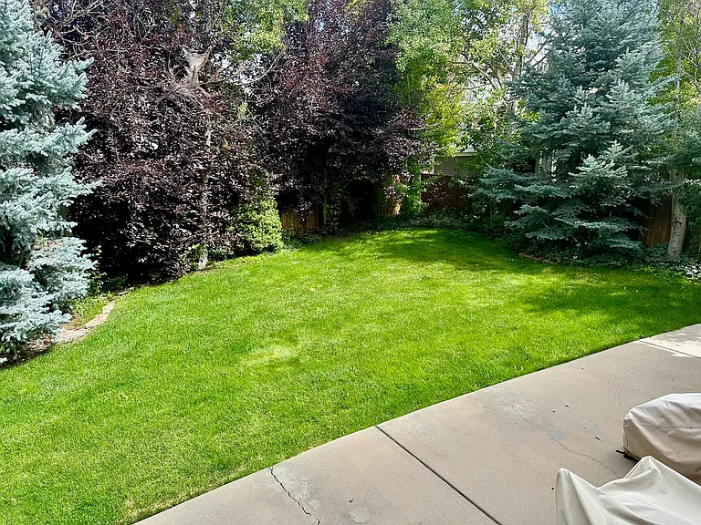 1931 Green Wing Dr — Photo 19