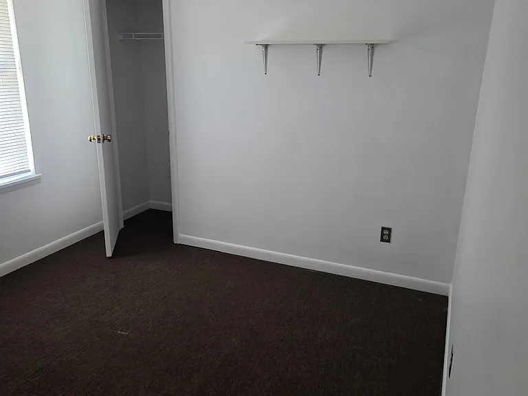 269 Jadetree Dr — Photo 1