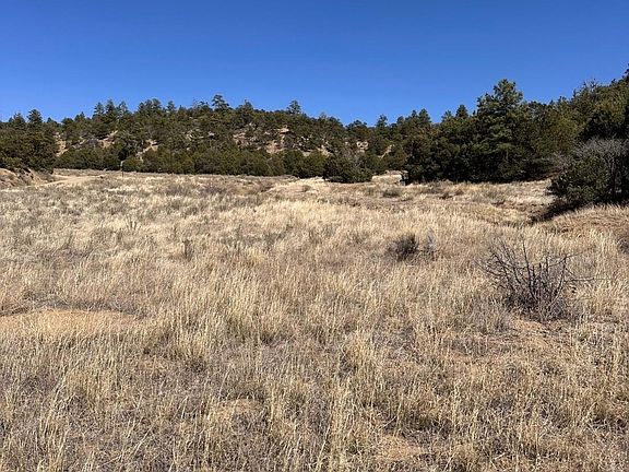 4th image of S Ranchero Rd