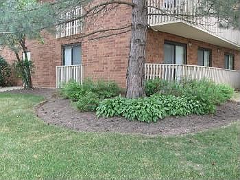 1st image of 1600 Wedgewood Dr APT 102