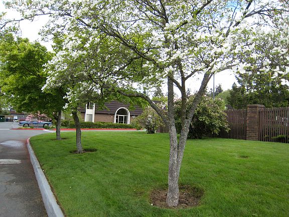 View of grounds from dive