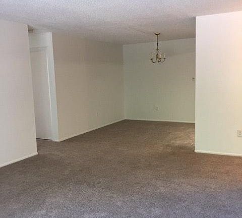 Living Room/Dinning Area